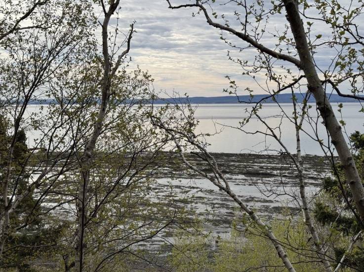 Terrain et terre à vendre - L'Isle-aux-Coudres, Charlevoix (IC045)