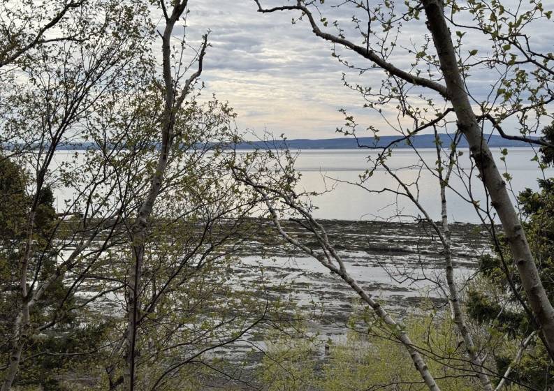 1 - Terrain et terre à vendre, L'Isle-aux-Coudres (Code - ic045, Charlevoix)