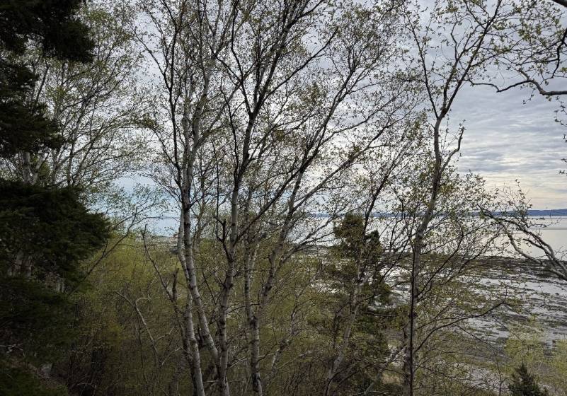 5 - Terrain et terre à vendre, L'Isle-aux-Coudres (Code - ic045, Charlevoix)