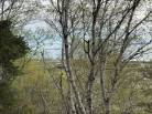 6 - Terrain et terre à vendre, L'Isle-aux-Coudres (Code - ic045, Charlevoix)