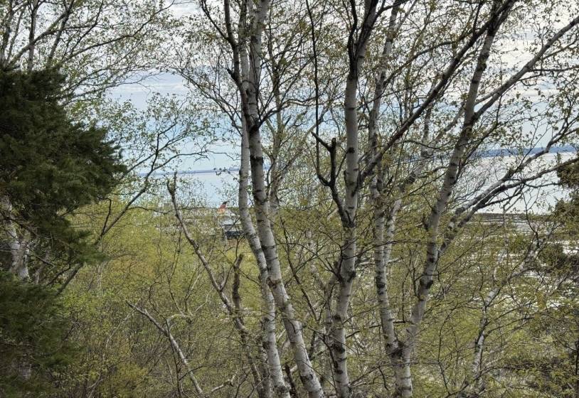 6 - Terrain et terre à vendre, L'Isle-aux-Coudres (Code - ic045, Charlevoix)