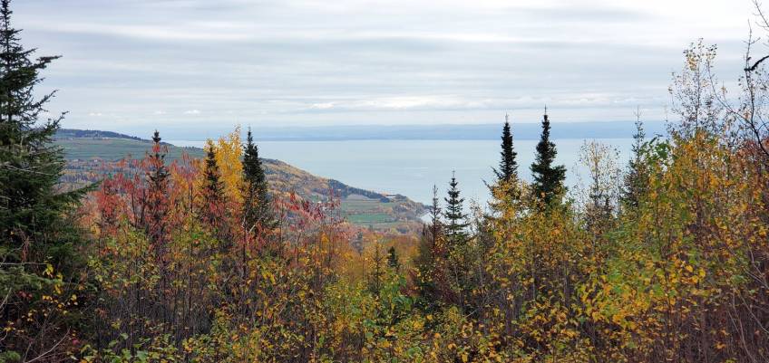 18 - Terrain et terre à vendre, Les Éboulements (Code - eb333, Charlevoix)