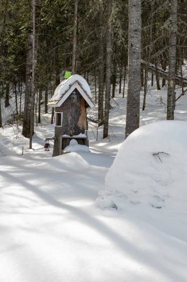 50 - Maison à vendre, Saint-Urbain (Code - su087, Charlevoix)