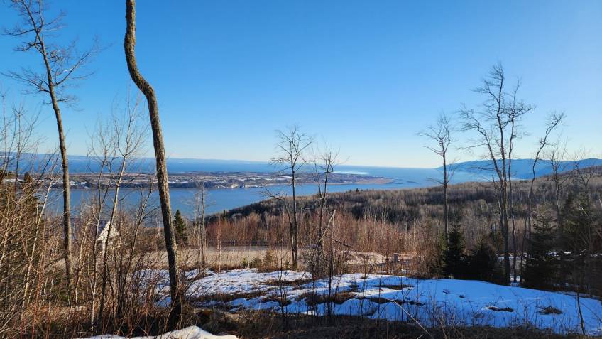 1 - Terrain et terre à vendre, Les Éboulements (Code - eb284, Charlevoix)