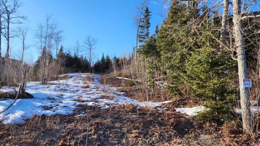 11 - Terrain et terre à vendre, Les Éboulements (Code - eb284, Charlevoix)