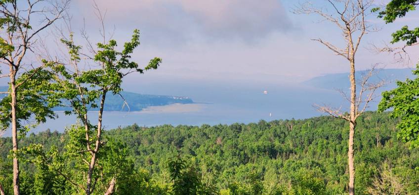 6 - Terrain et terre à vendre, Les Éboulements (Code - eb284, Charlevoix)