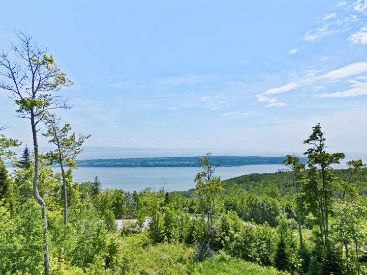 8 - Terrain et terre à vendre, Les Éboulements (Code - eb284, Charlevoix)