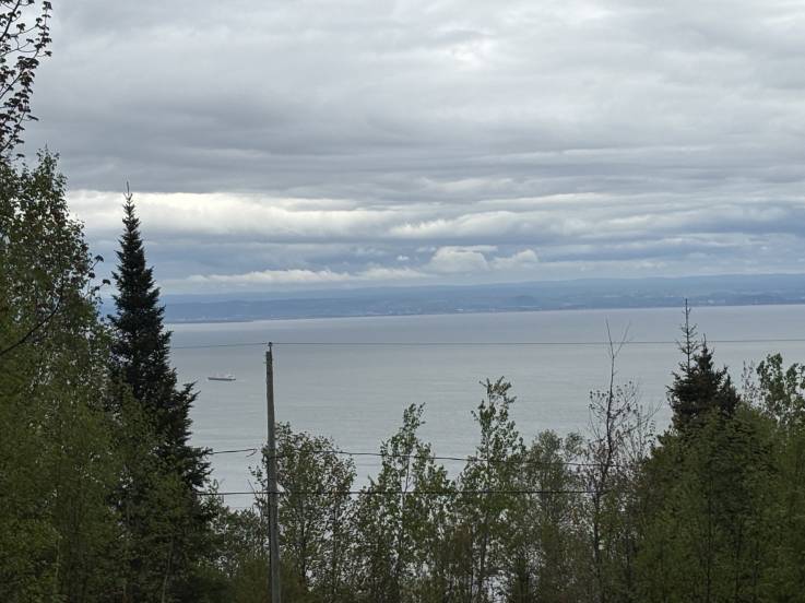 Terrain et terre à vendre - Les Éboulements, Charlevoix (EB325)