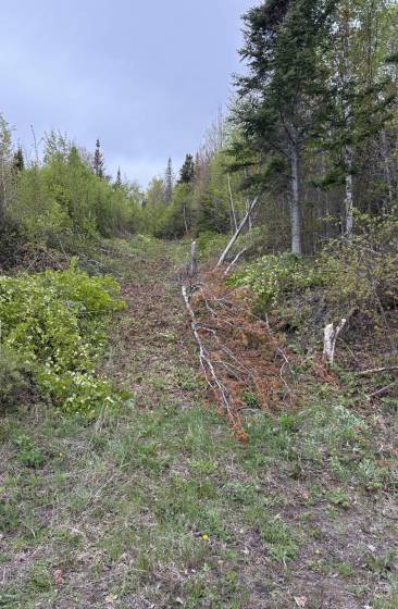 3 - Terrain et terre à vendre, Les Éboulements (Code - eb325, Charlevoix)