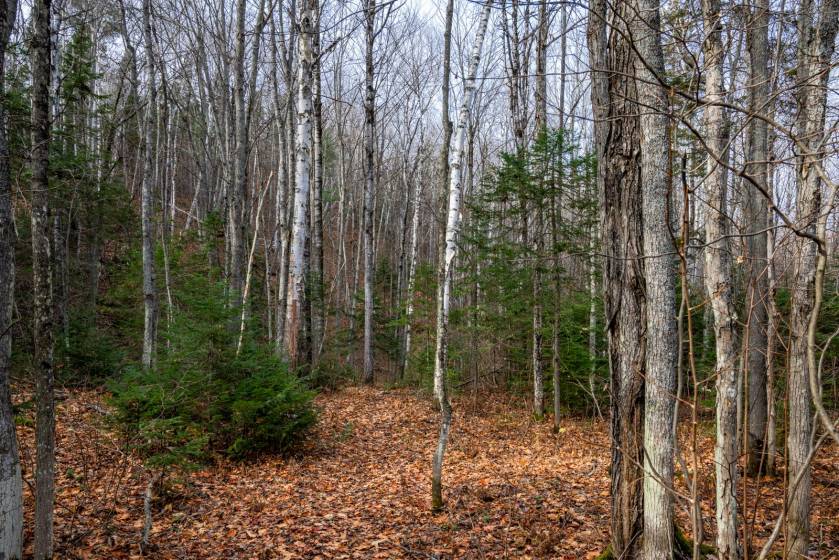 14 - Terrain et terre à vendre, Baie-Saint-Paul (Code - sp826, Charlevoix)