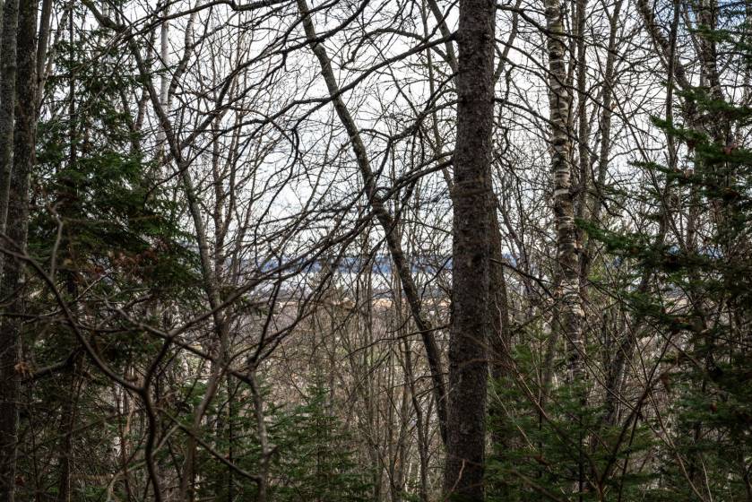 15 - Terrain et terre à vendre, Baie-Saint-Paul (Code - sp826, Charlevoix)