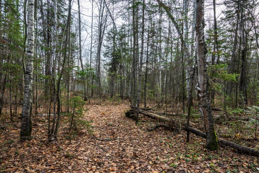 16 - Terrain et terre à vendre, Baie-Saint-Paul (Code - sp826, Charlevoix)