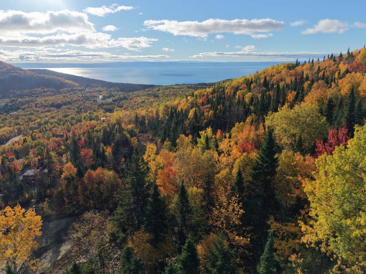 Terrain et terre à vendre - Petite-Rivière-Saint-François, Charlevoix (PR874)