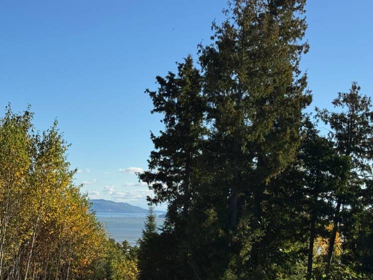 6 - Terrain et terre à vendre, Petite-Rivière-Saint-François (Code - pr826, Charlevoix)