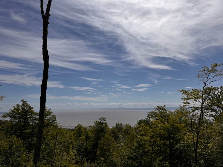 2 - Terrain et terre à vendre, Petite-Rivière-Saint-François (Code - pr821, Charlevoix)