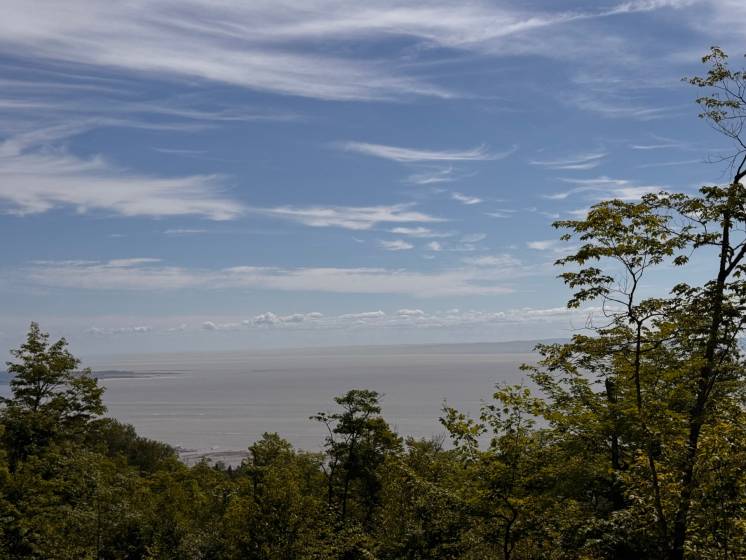 4 - Terrain et terre à vendre, Petite-Rivière-Saint-François (Code - pr821, Charlevoix)