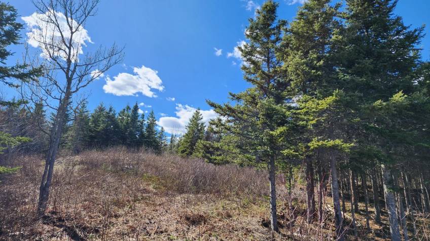 10 - Terrain et terre à vendre, Les Éboulements (Code - eb282, Charlevoix)
