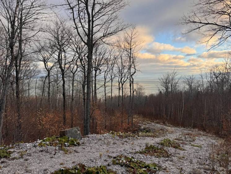 2 - Terrain et terre à vendre, Petite-Rivière-Saint-François (Code - pr837, Charlevoix)