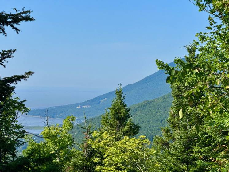 1 - Terrain et terre à vendre, Petite-Rivière-Saint-François (Code - pr856, Charlevoix)