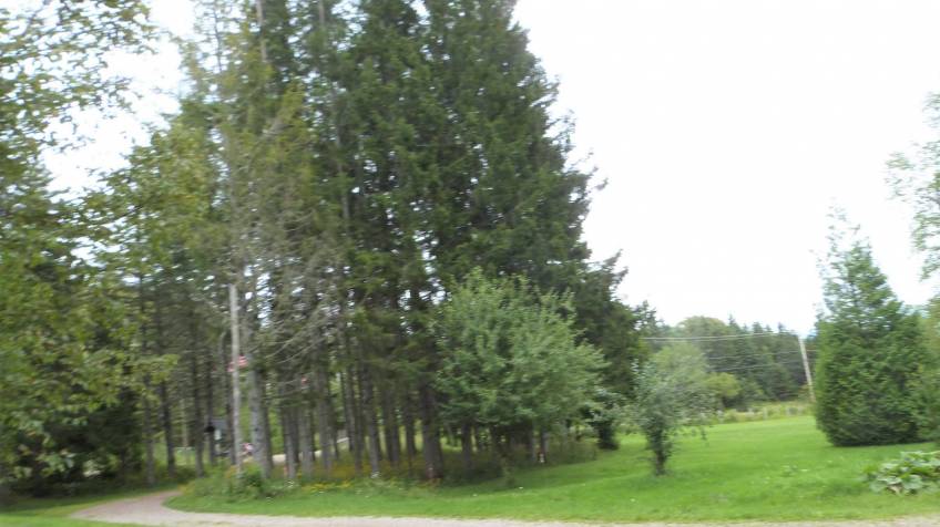 12 - Maison à vendre, Baie-Saint-Paul (Code - sp780, Charlevoix)