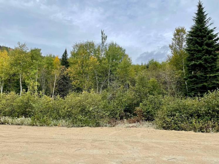 1 - Terrain et terre à vendre, Petite-Rivière-Saint-François (Code - pr825, Charlevoix)