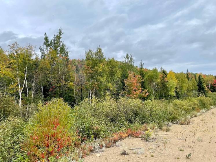 3 - Terrain et terre à vendre, Petite-Rivière-Saint-François (Code - pr825, Charlevoix)