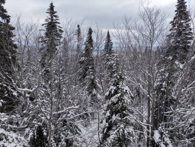 1 - Terrain et terre à vendre, Petite-Rivière-Saint-François (Code - pr835, Charlevoix)