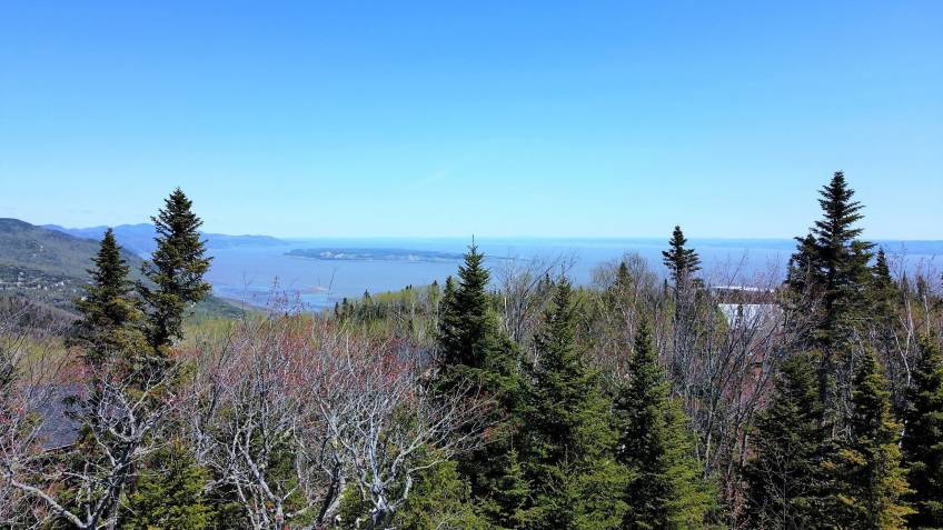 4 - Terrain et terre à vendre, Petite-Rivière-Saint-François (Code - pr835, Charlevoix)