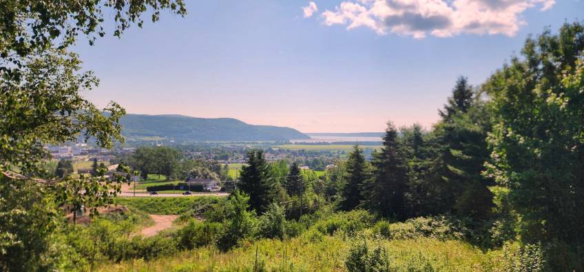 1 - Terrain et terre à vendre, Baie-Saint-Paul (Code - sp836, Charlevoix)