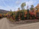 3 - Terrain et terre à vendre, Petite-Rivière-Saint-François (Code - pr864, Charlevoix)
