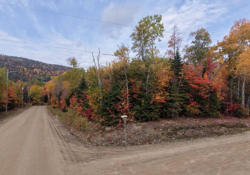 3 - Terrain et terre à vendre, Petite-Rivière-Saint-François (Code - pr864, Charlevoix)