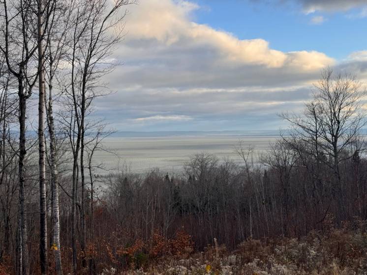 1 - Terrain et terre à vendre, Petite-Rivière-Saint-François (Code - pr789, Charlevoix)