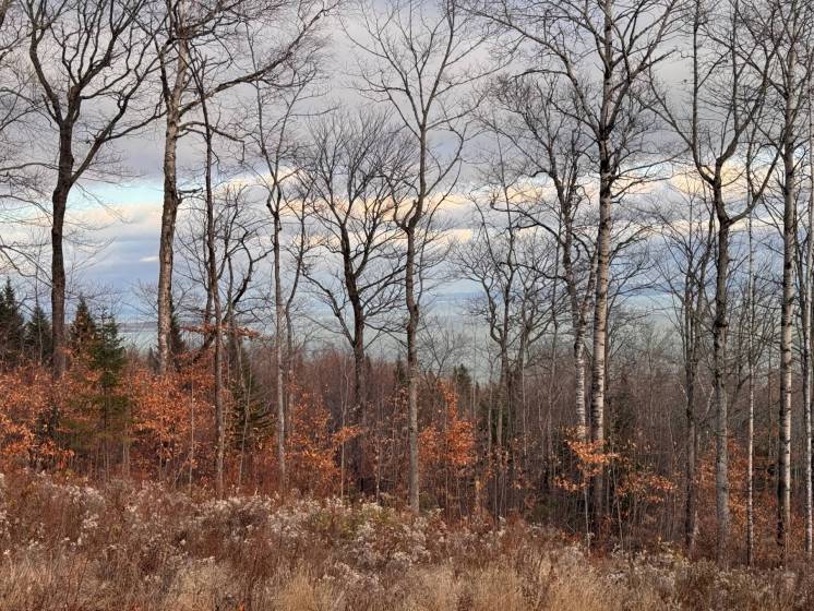 5 - Terrain et terre à vendre, Petite-Rivière-Saint-François (Code - pr789, Charlevoix)