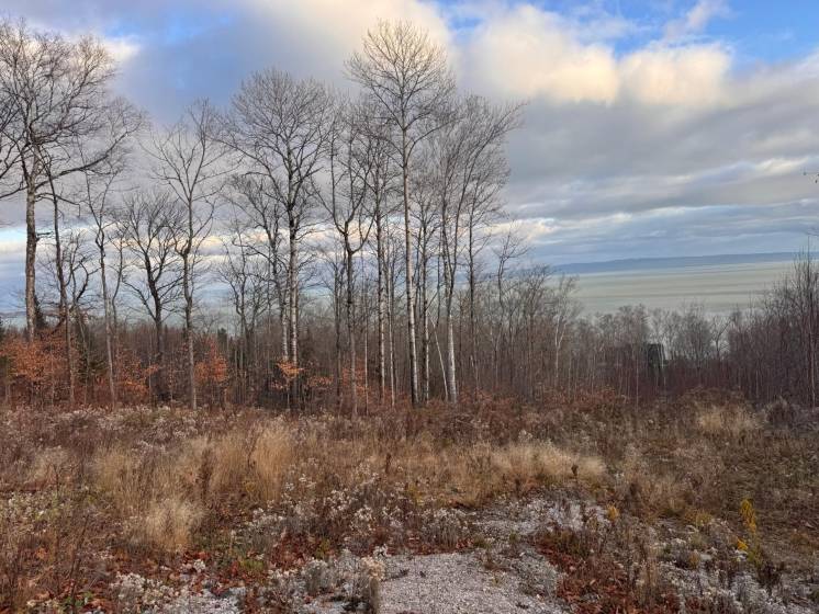 7 - Terrain et terre à vendre, Petite-Rivière-Saint-François (Code - pr789, Charlevoix)