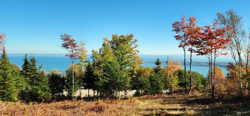 2 - Terrain et terre à vendre, Les Éboulements (Code - eb310, Charlevoix)