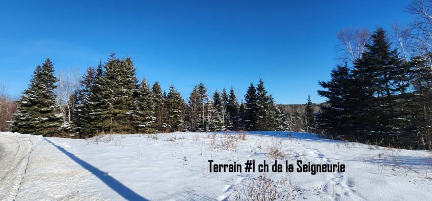 1 - Terrain et terre à vendre, Les Éboulements (Code - eb303, Charlevoix)