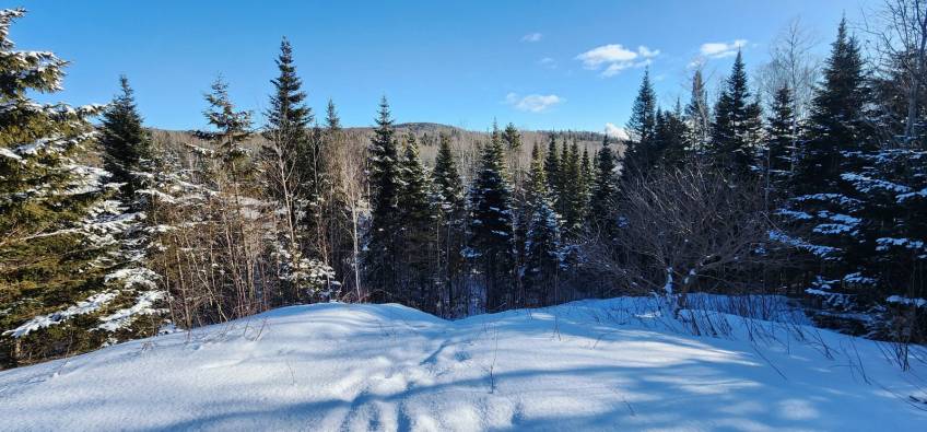 2 - Terrain et terre à vendre, Les Éboulements (Code - eb303, Charlevoix)