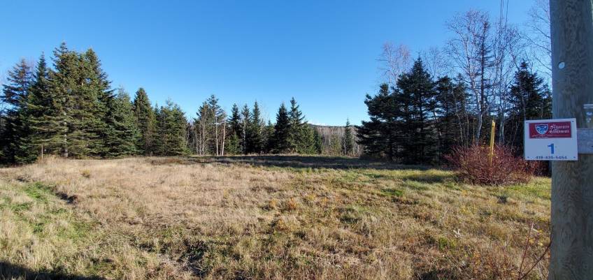 4 - Terrain et terre à vendre, Les Éboulements (Code - eb303, Charlevoix)