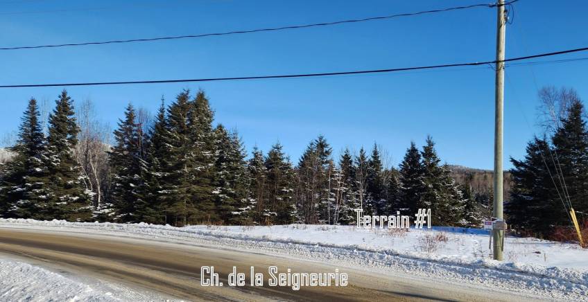 7 - Terrain et terre à vendre, Les Éboulements (Code - eb303, Charlevoix)