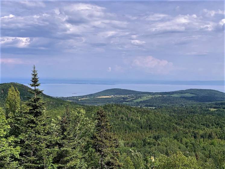 1 - Terrain et terre à vendre, Les Éboulements (Code - eb320, Charlevoix)