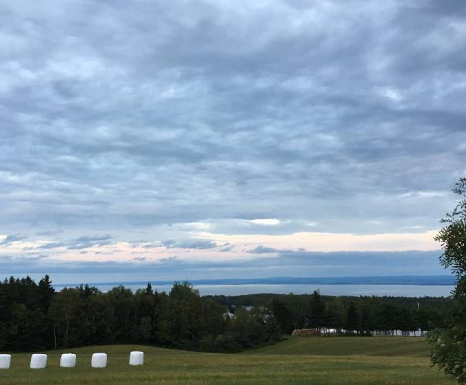 2 - Terrain et terre à vendre, Les Éboulements (Code - eb320, Charlevoix)