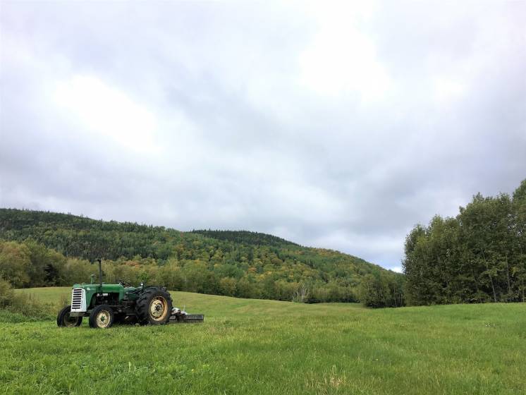 7 - Terrain et terre à vendre, Les Éboulements (Code - eb320, Charlevoix)
