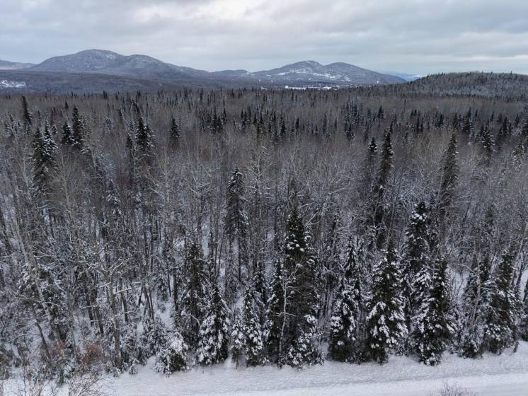 1 - Terrain et terre à vendre, Petite-Rivière-Saint-François (Code - pr836, Charlevoix)