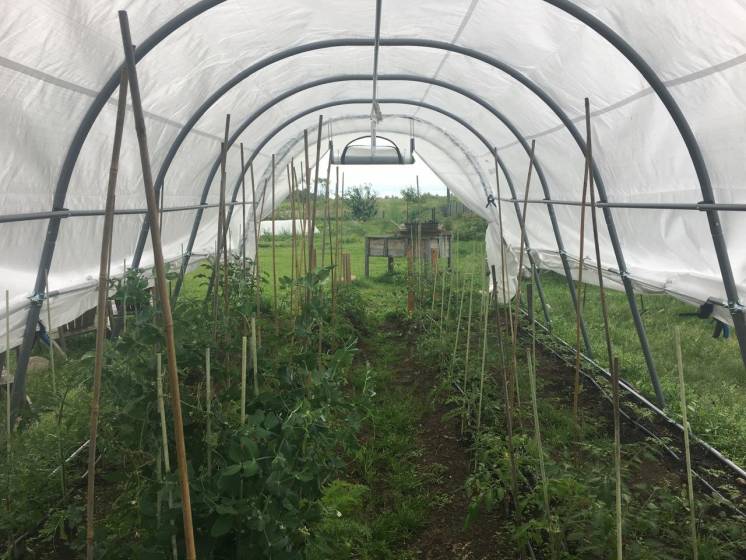 29 - Maison à vendre, Saint-Irénée (Code - si179, Charlevoix)