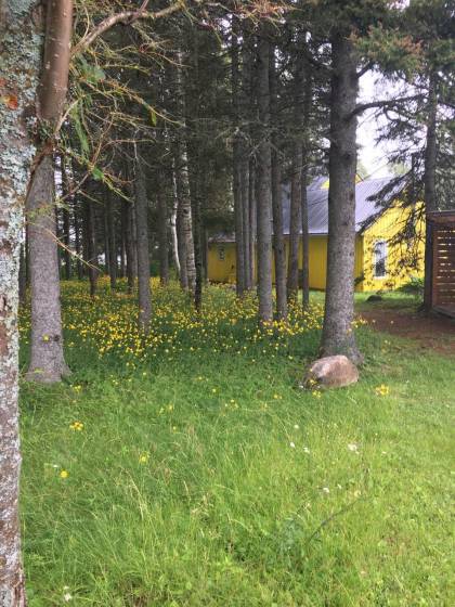 30 - Maison à vendre, Saint-Irénée (Code - si179, Charlevoix)