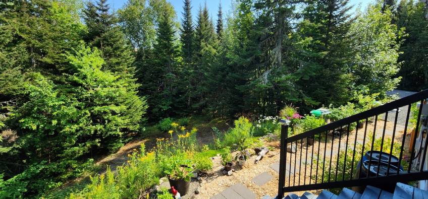 35 - Maison à vendre, Les Éboulements (Code - eb322, Charlevoix)