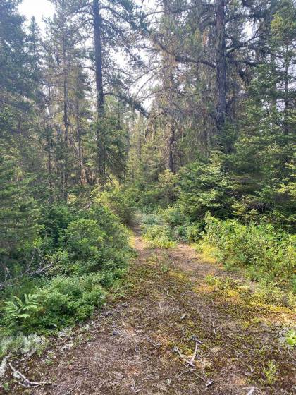 2 - Terrain et terre à vendre, Saint-Siméon (Code - ss070, Charlevoix)