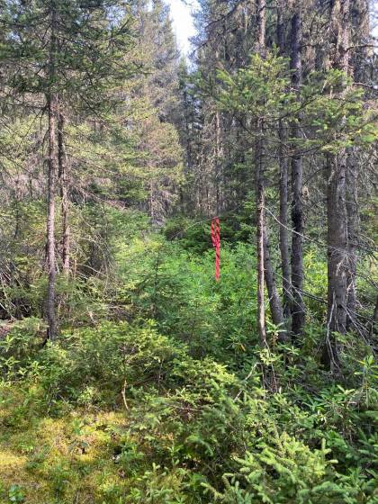 3 - Terrain et terre à vendre, Saint-Siméon (Code - ss070, Charlevoix)