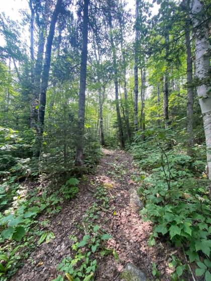 6 - Terrain et terre à vendre, Saint-Siméon (Code - ss070, Charlevoix)