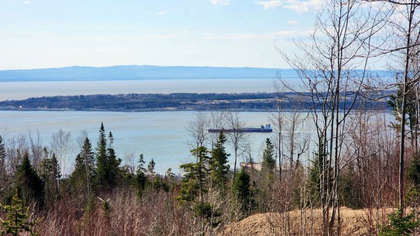 1 - Terrain et terre à vendre, Les Éboulements (Code - eb290, Charlevoix)